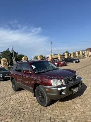 Hyundai Santa Fe 2001 Brown