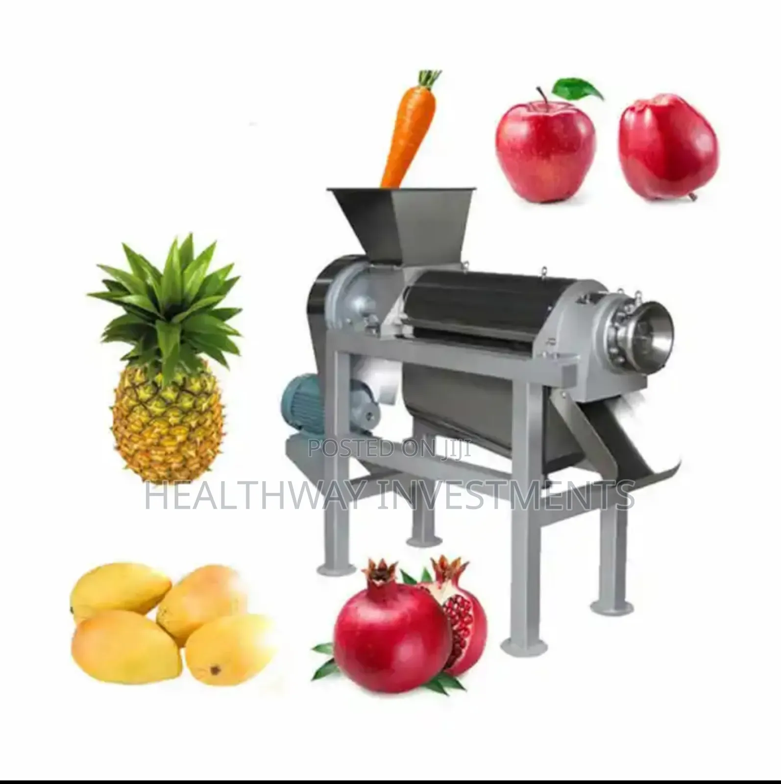 Commercial Fruit Juicer