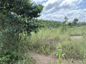 One Plot for Sale at Trade 7 Minutes Walk From Main Road.