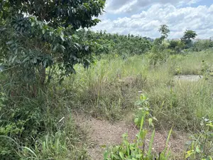 One Plot for Sale at Trade 7 Minutes Walk From Main Road.