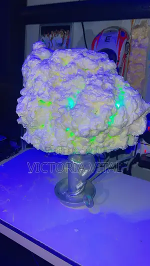 Customized Moon Light