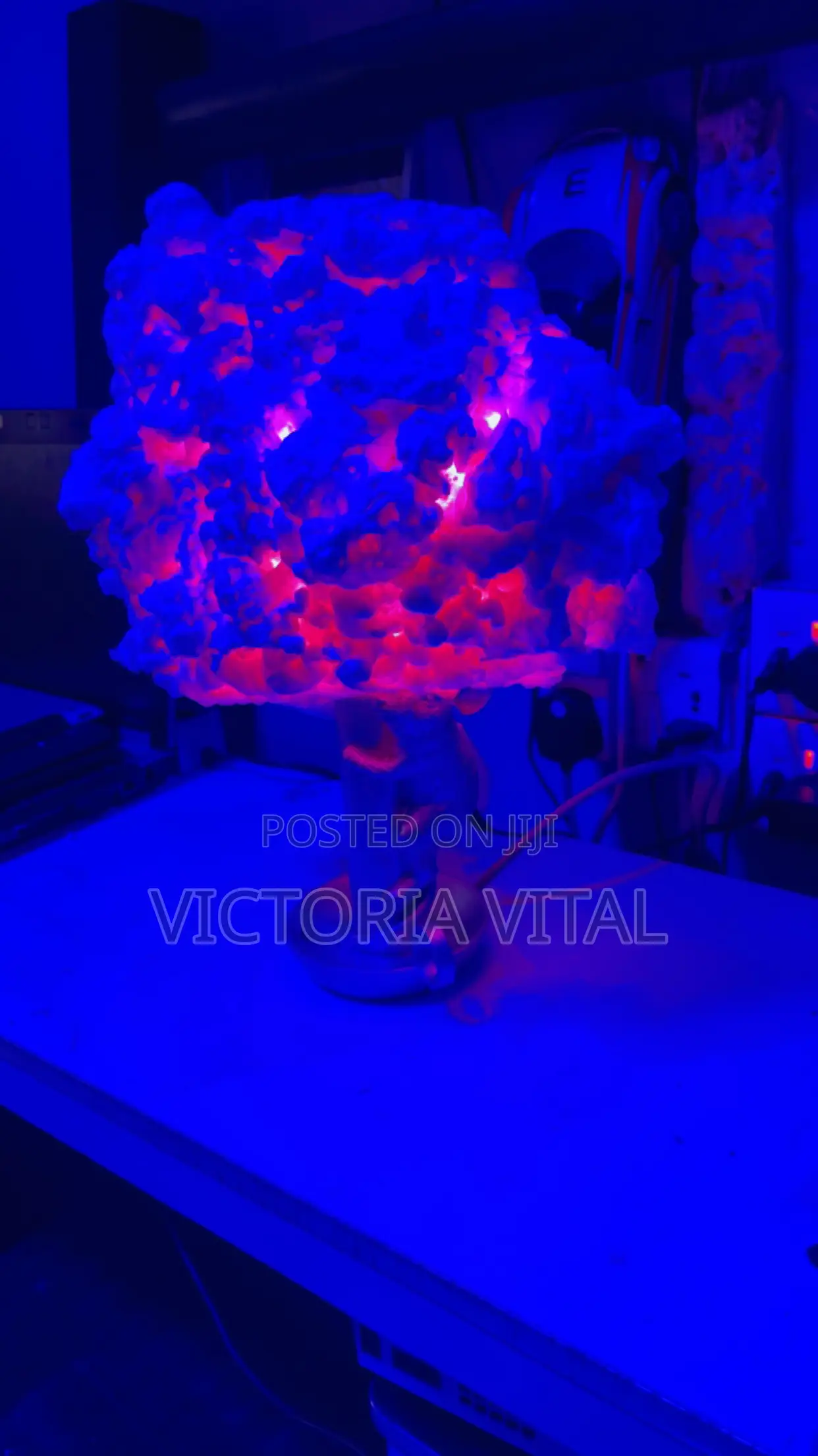 Customized Moon Light