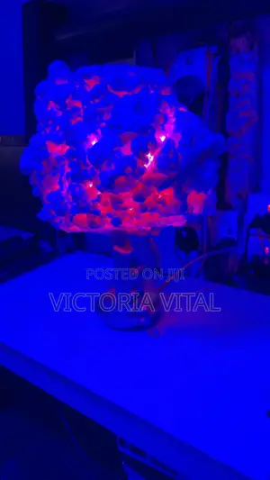 Customized Moon Light