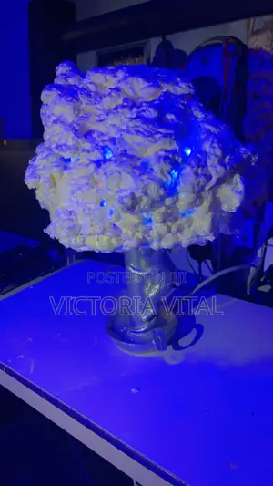 Customized Moon Light