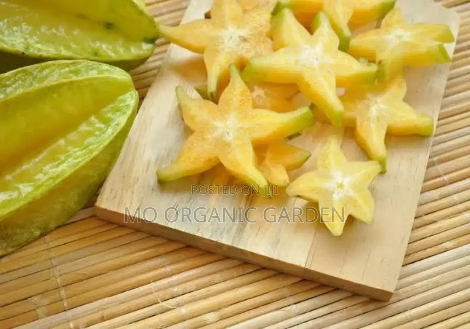 Starfruit Plant Seedling