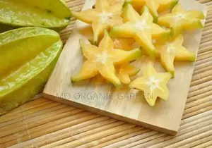 Starfruit Plant Seedling