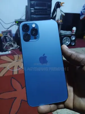Apple iPhone 12 Pro Max 128 GB Gray