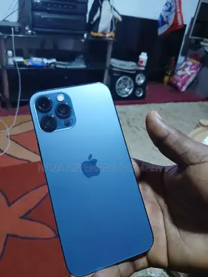Apple iPhone 12 Pro Max 128 GB Gray