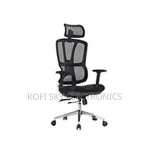 Eldo Ergonomic Mesh Office Chair