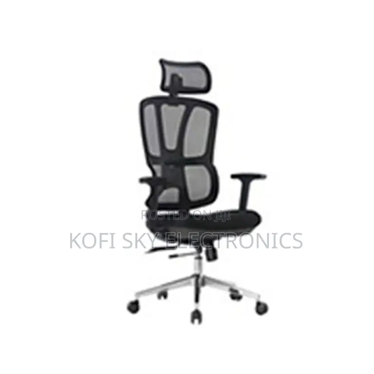 Eldo Ergonomic Mesh Office Chair