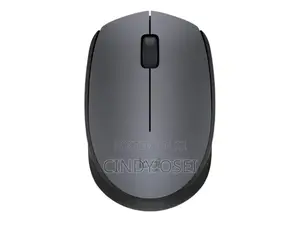 Logitech Wireless Mouse M171