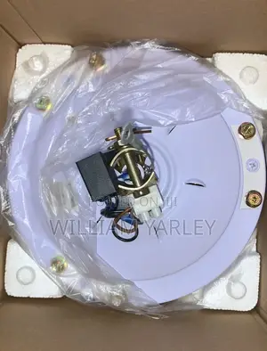 Alyson Long Blade Ceiling Fan