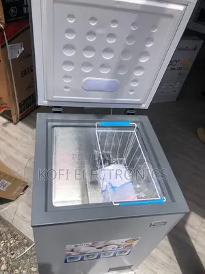 Compact Freezer for Food Storage and Preservation 100l