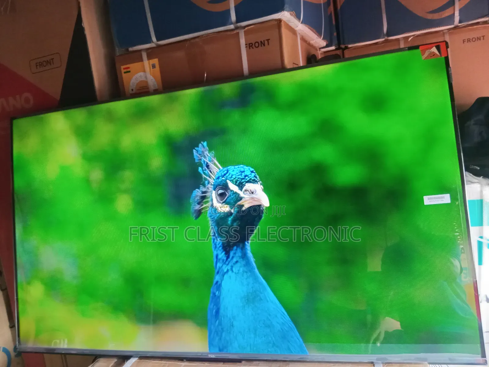 Joyful TCL Digital Tv