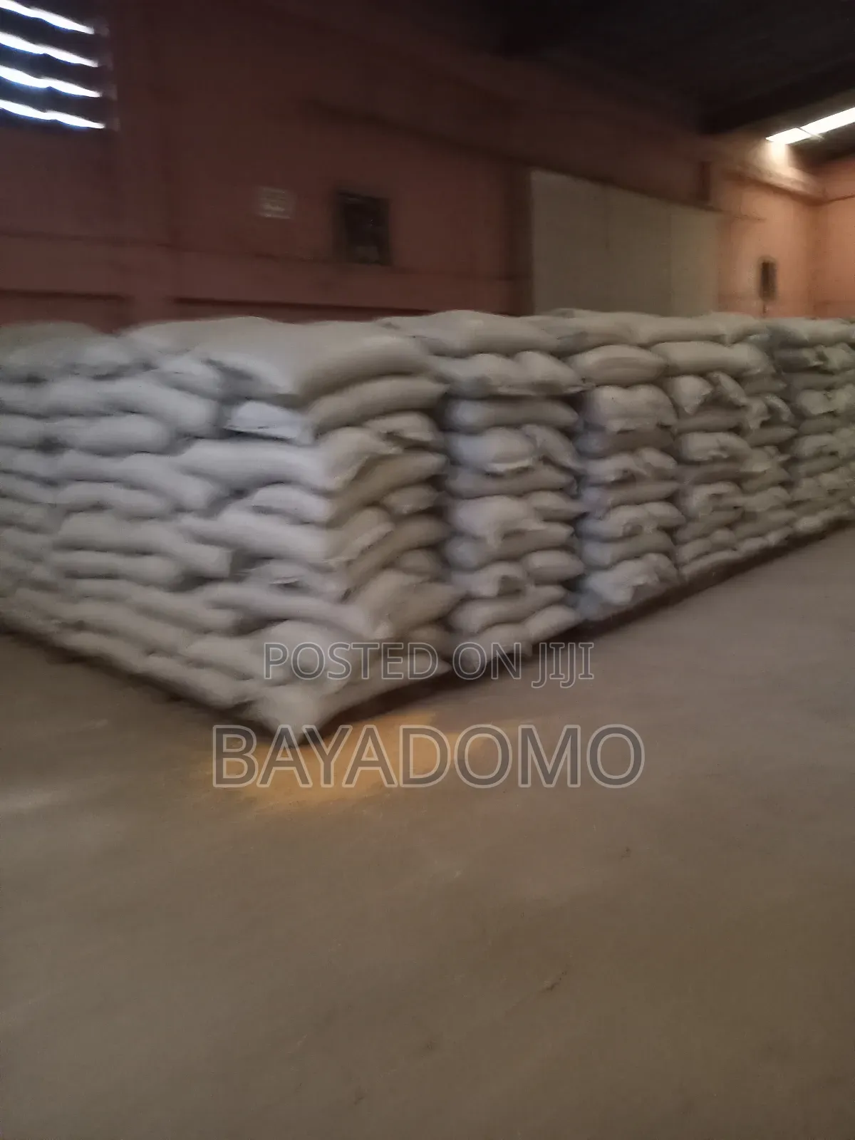 White and Yellow Maize