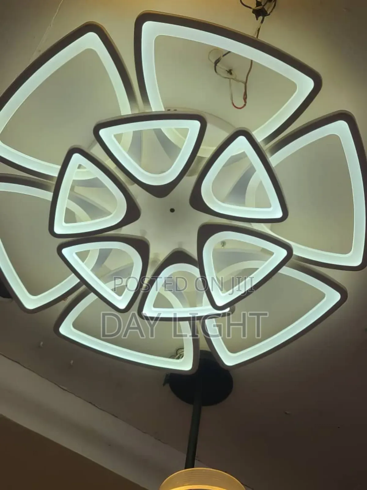 Luxurious Ceiling Light