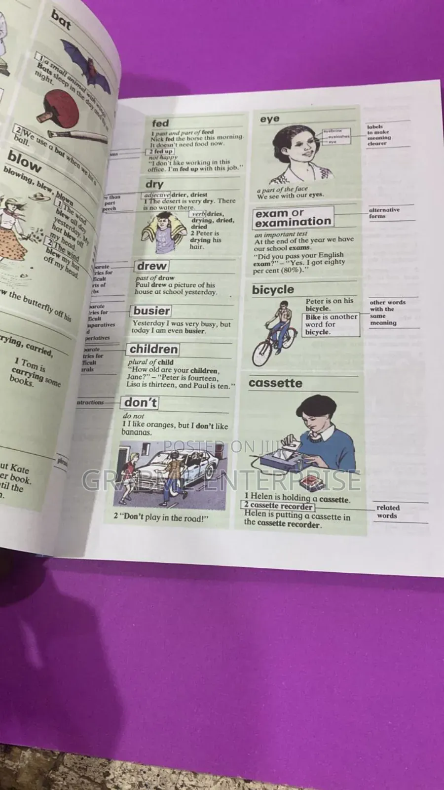 Kids Longman Elementary Dictionary