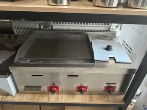 Commercial Gas Grill With Fryer