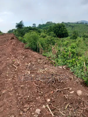 Litigation Free Lands Only