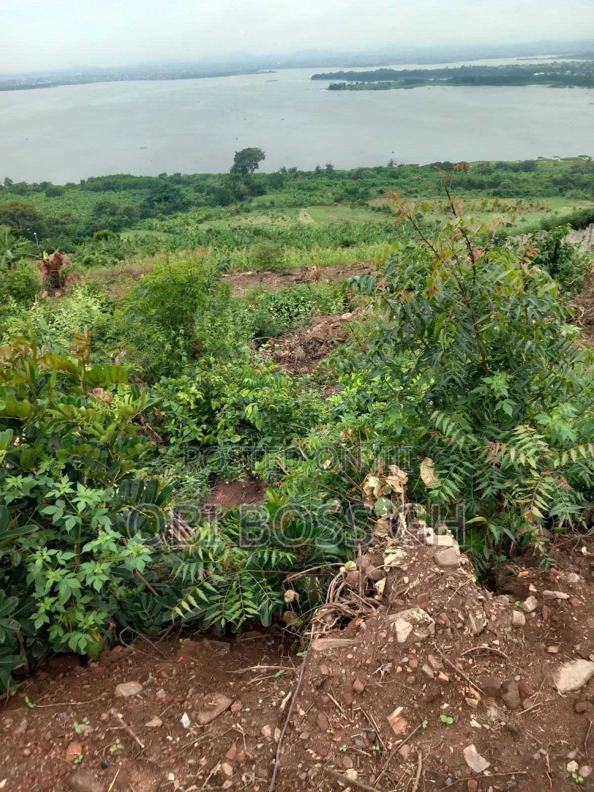Litigation Free Lands Only