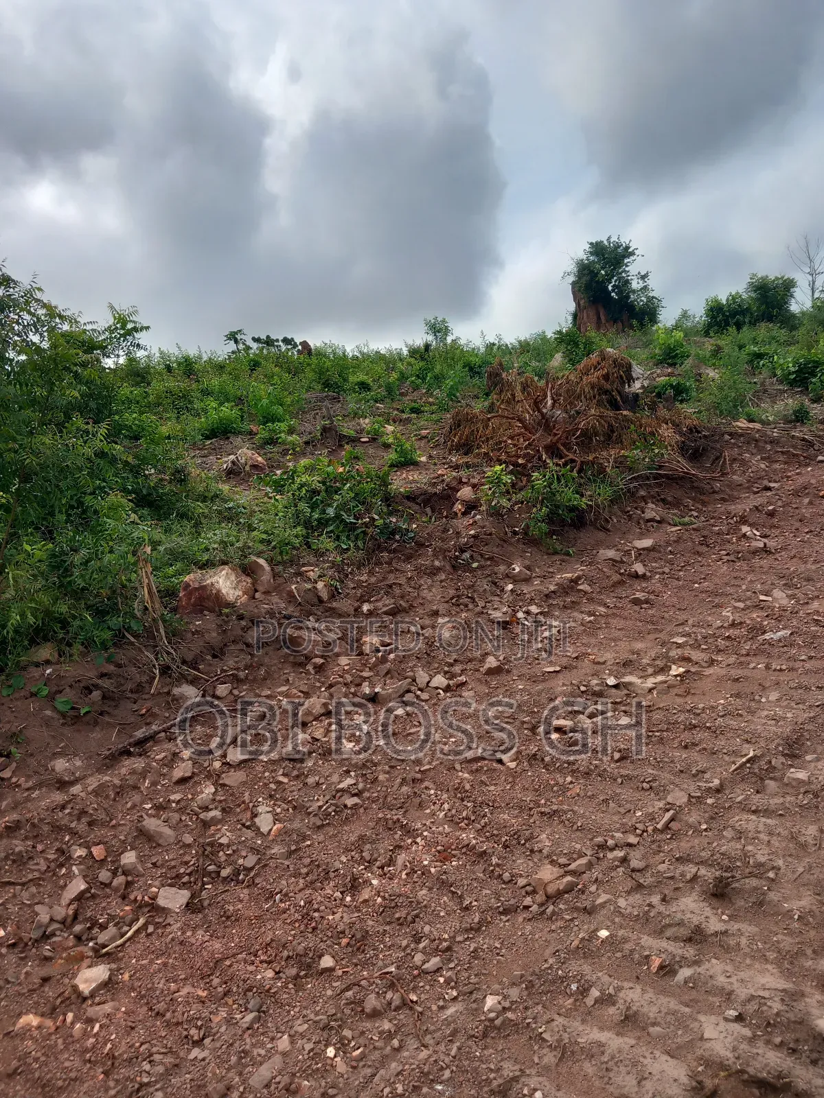Litigation Free Lands Only