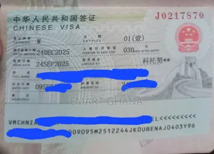 Chinese Visa