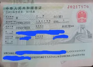 Chinese Visa