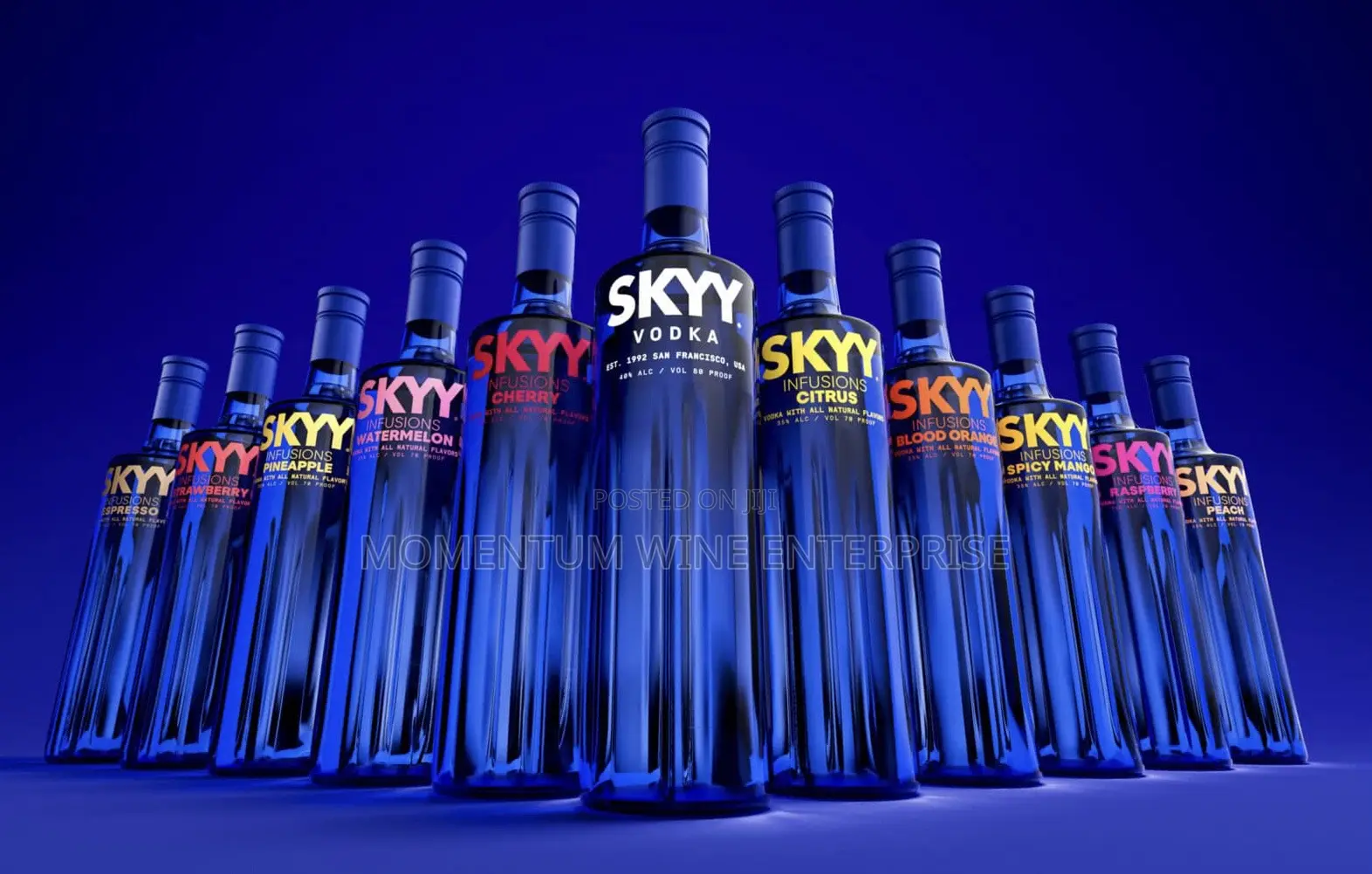 Skyy Vodka All Flavours 1lt