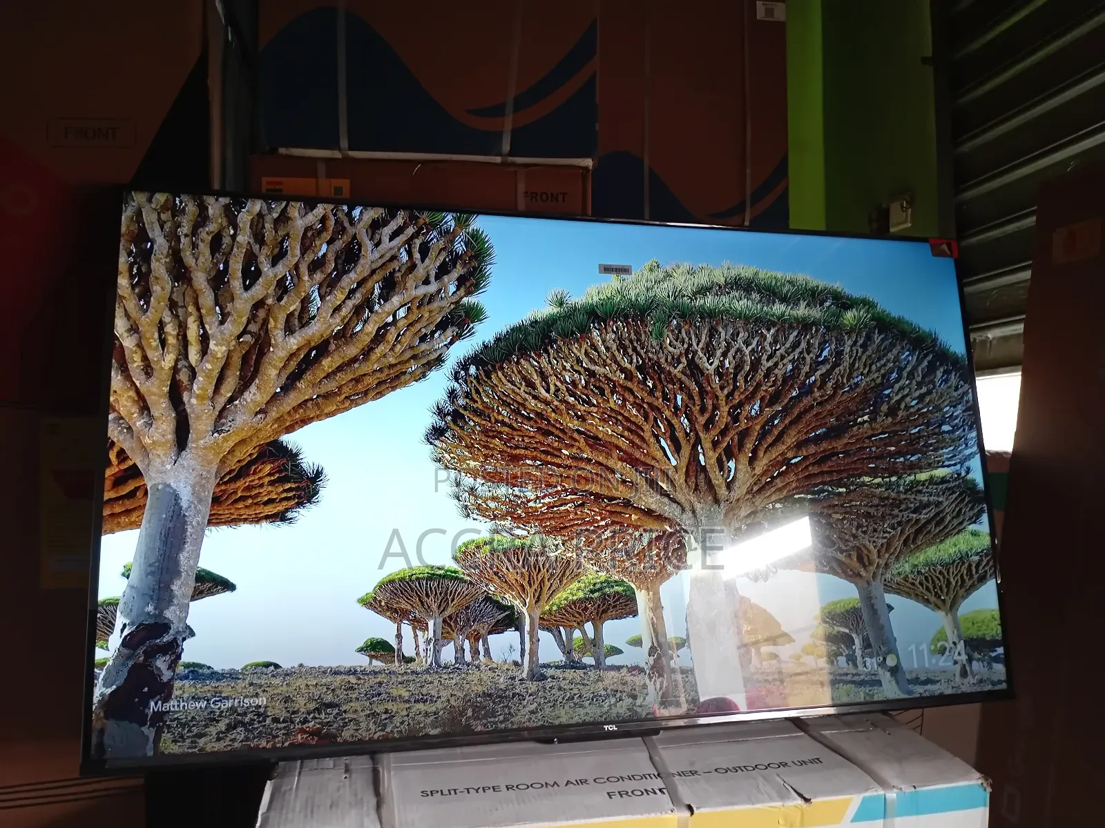 Soft Living With TCL 55