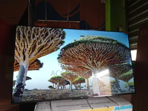 Soft Living With TCL 55