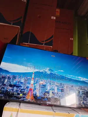 Comfort N Pride With TCL 55