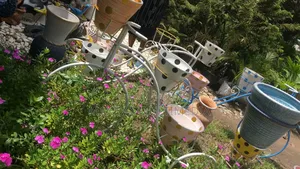 Flower Pots