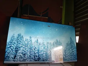 Hidden Tourist Unveiled Tcl55