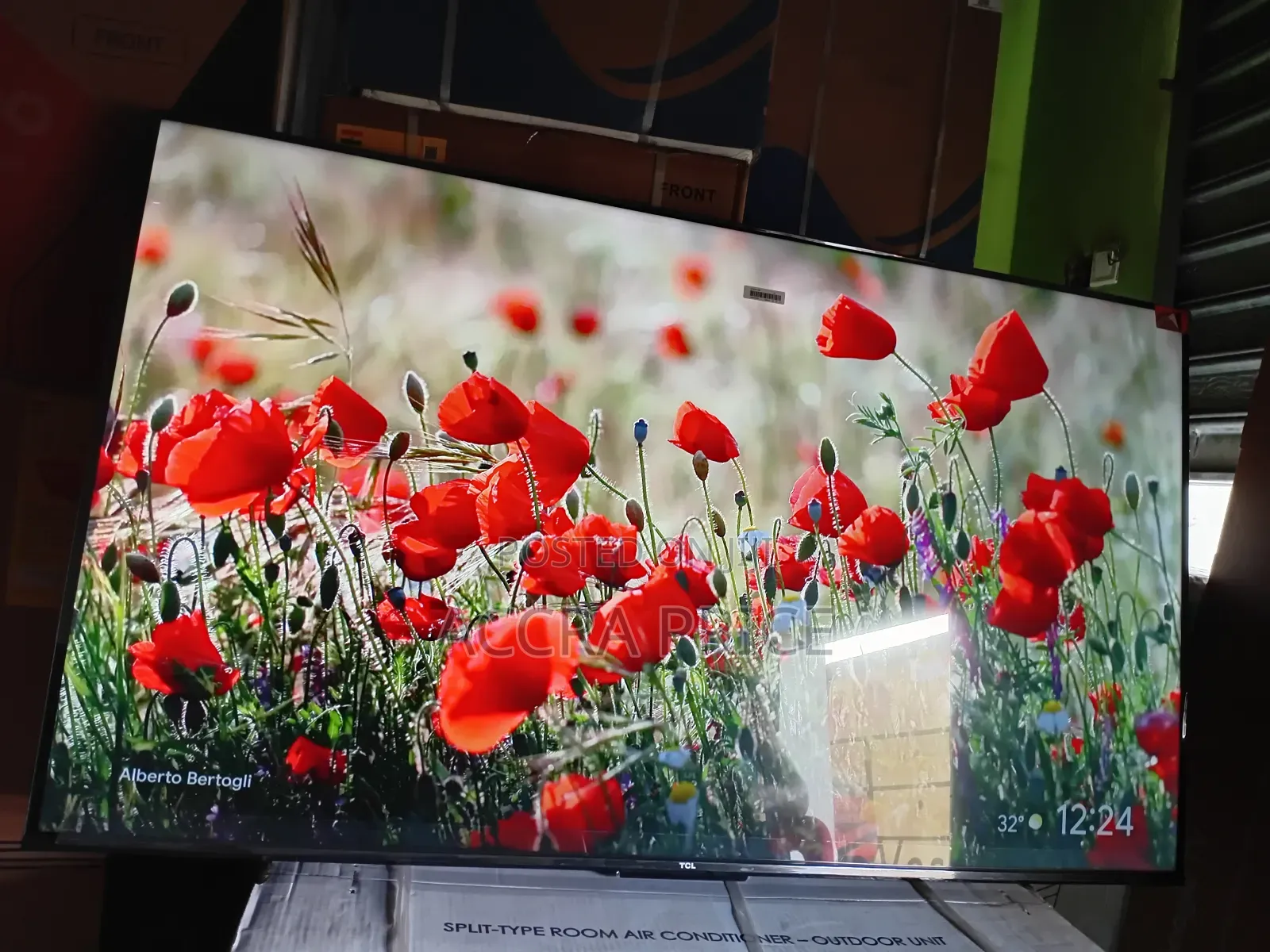 Flower of Brand Tcl55