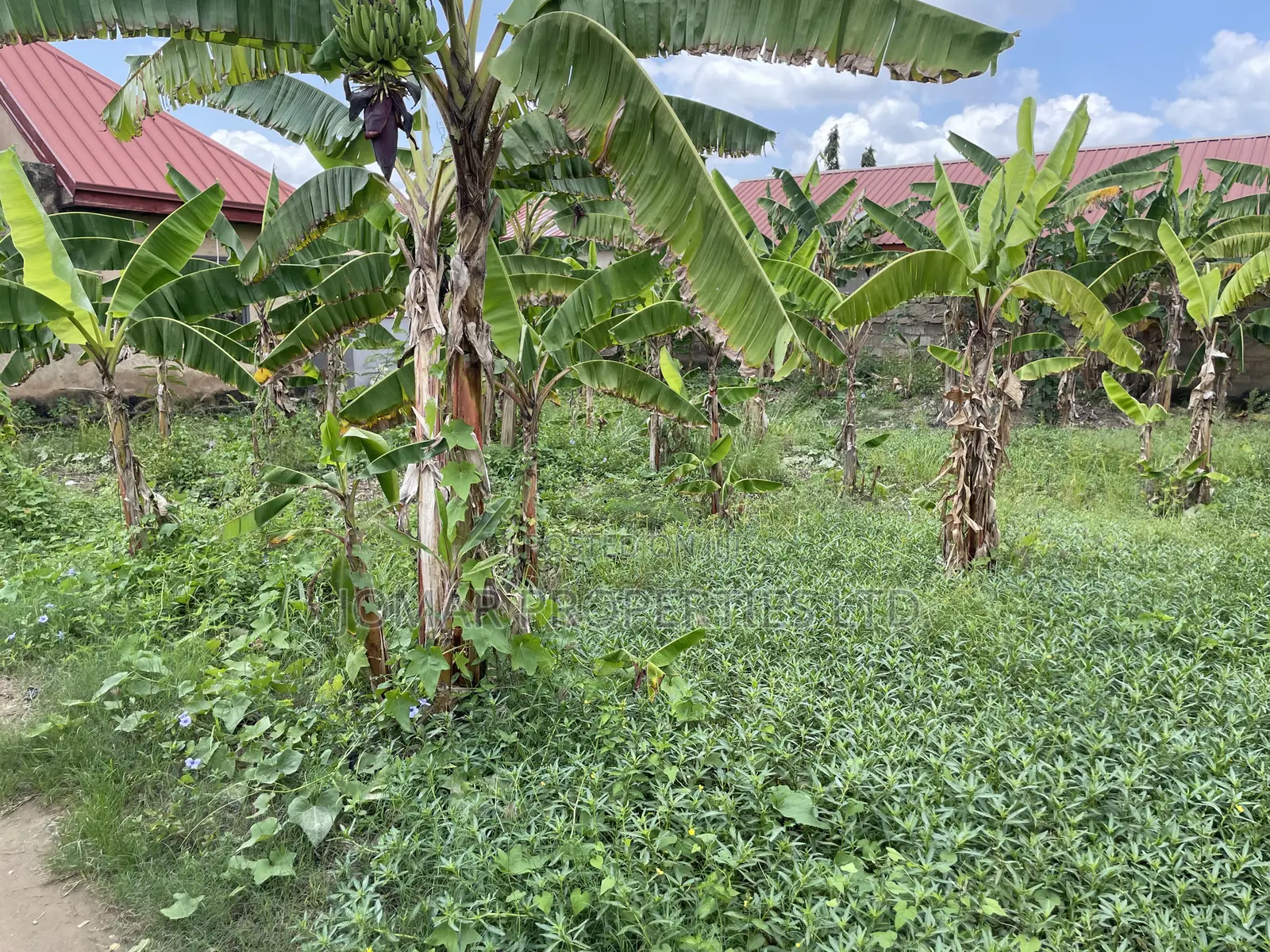 Plots for Sale at Kojo Ashong
