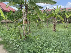 Plots for Sale at Kojo Ashong
