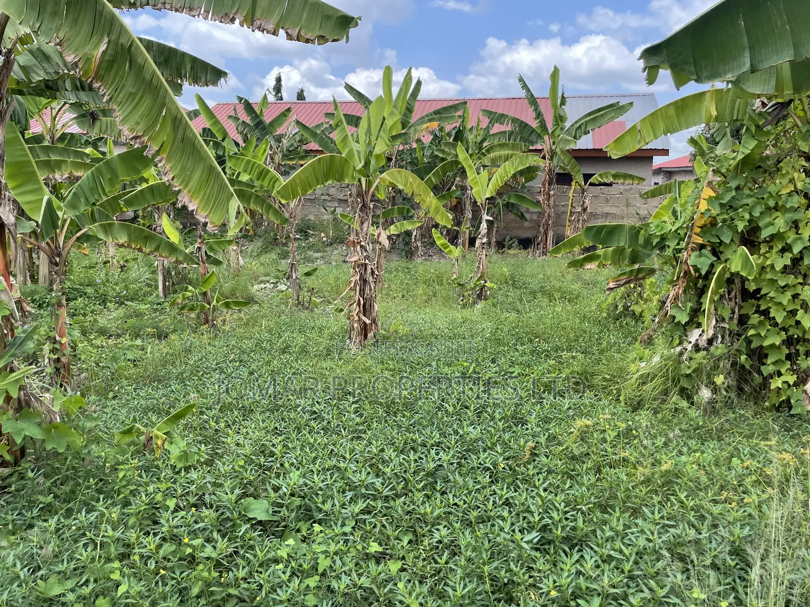 Plots for Sale at Kojo Ashong