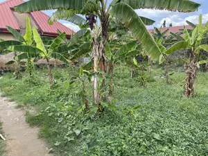 Plots for Sale at Kojo Ashong