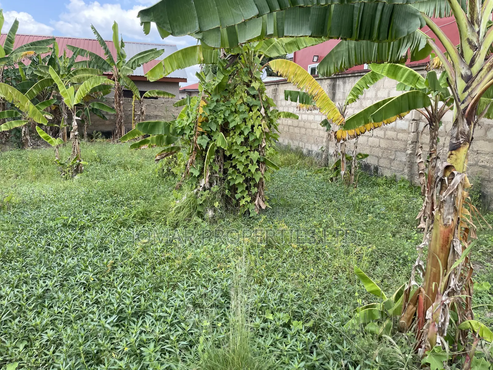Plots for Sale at Kojo Ashong