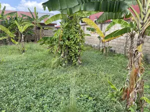 Plots for Sale at Kojo Ashong