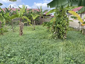 Plots for Sale at Kojo Ashong