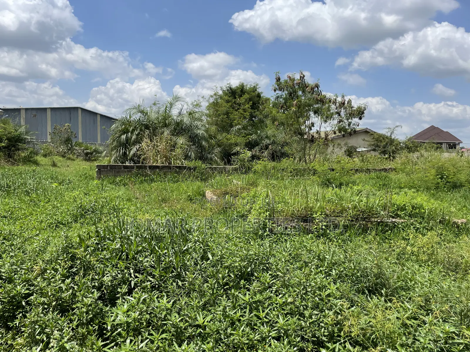 Half Plot for Sale at Ashalaja