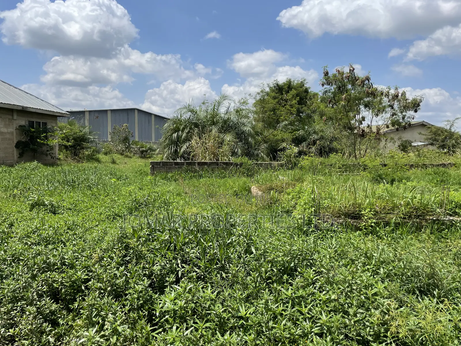 Half Plot for Sale at Ashalaja
