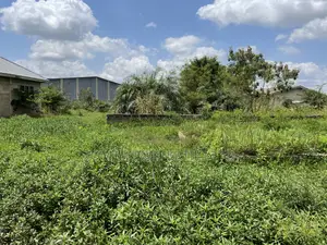 Half Plot for Sale at Ashalaja