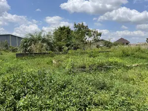 Half Plot for Sale at Ashalaja