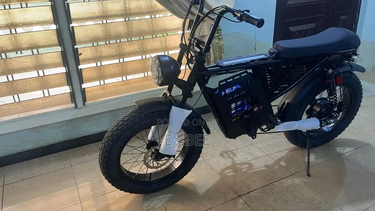 25km/H Adult Electric Bicycle