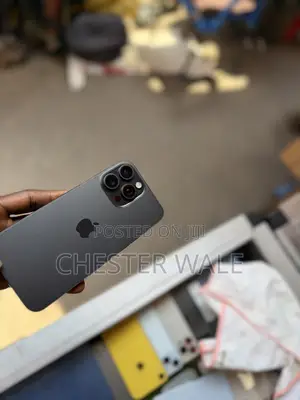 Apple iPhone 15 Pro Max 256 GB Black