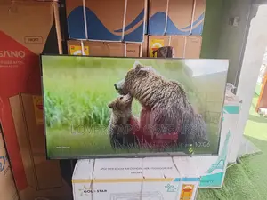 Feel the Action With TCL 55inches Smart Tv