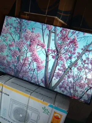Enjoy Endless Entertainment Options at Your Fingertips With TCL Tv