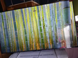 Enjoy Hdr,And Wide Color Gamut With 55 Inches Qled TCL Tv